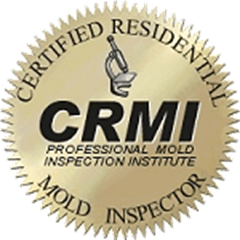 crawl space closet mold removal and remediation services being carried out in 19031