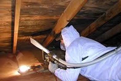 bathroom ceiling black mold removal testing services performed in 19095 basement 