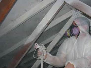 commercial office attic Montgomery County mold removal and remediation services Wynnewood PA